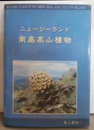 ニュージーランド 南島高山植物