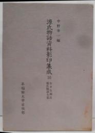 源氏物語資料影印集成 (10)