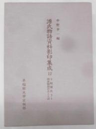 源氏物語資料影印集成 12