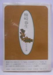 梅崎春生: 桜島から幻化への道程