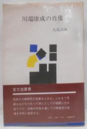 川端康成の肖像<宝文館叢書>
