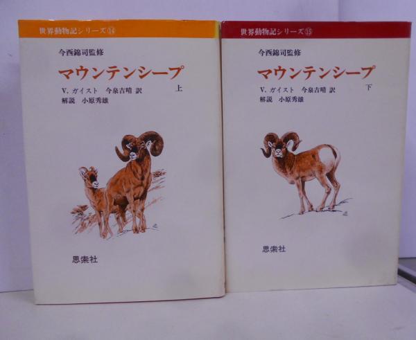 楽天ブックス: フロイト全集 第12巻 1912-13年 - トーテムとタブー - 須藤 訓任 - 9784007314537 : 本