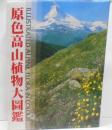 原色高山植物大図鑑