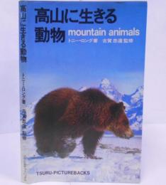 高山に生きる動物 ツル・ピクチャーバックス アニマルライフ 2 /世界の屋根/岩場の名人/クマ、ネコ、雪男/地を這うもの/天翔けるもの/カワガラス…etc