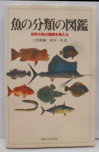 公共訴訟の救済法理(川嶋四郎 著) / 不死鳥BOOKS / 古本、中古本