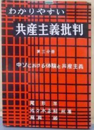 わかりやすい共産主義批判 第3分冊 中・ソにおける体験と共産主義