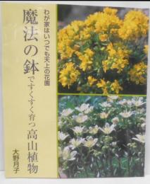 魔法の鉢ですくすく育つ高山植物 :わが家はいつでも天上の花園