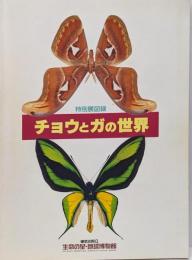 チョウとガの世界 : 特別展図録