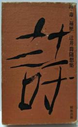 詩・毒・遍歴─辻井喬随想集