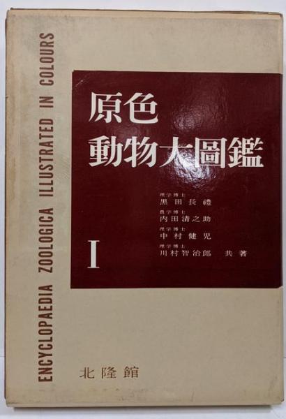 中古】コミックガイド 京都 : 平家伝説殺人事件／打越 保【構成