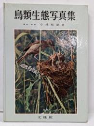 鳥類生態写真集