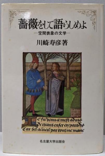 微分積分学演習 下 改訂版(坂井 英太郎) / 不死鳥BOOKS / 古本