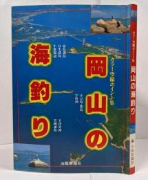 岡山の海釣り : カラー空撮ポイント集