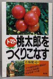 トマト桃太郎をつくりこなす