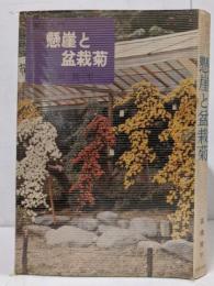 懸崖と盆栽菊 : 園芸入門