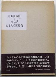 たとえて雪月花─辻井喬詩集