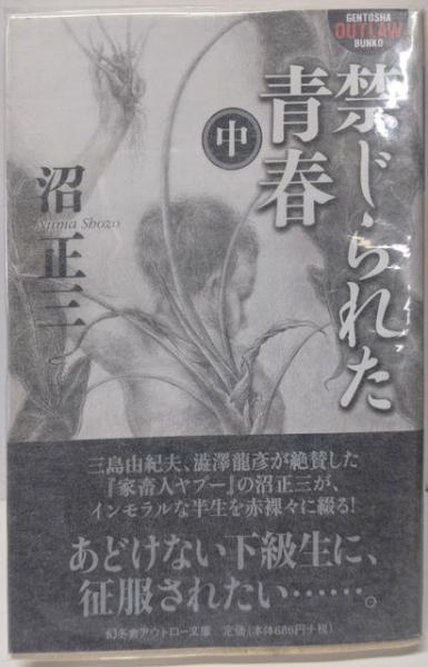 高級感 禁じられた青春 中 正三 36-7)(沼 O (幻冬舎アウトロー文庫 文学・小説