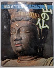 隠れた仏たち-山の仏: 藤森武写真集