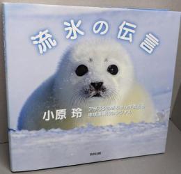 流氷の伝言 :アザラシの赤ちゃんが教える地球温暖化のシグナル