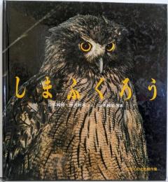 しまふくろう : どきどきしぜん<かがくのとも傑作集>
