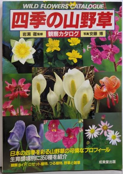 大呉市民史(弘中柳三 編) / 不死鳥BOOKS / 古本、中古本、古書籍