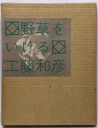 野草をいける