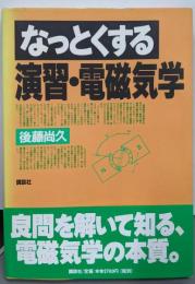 なっとくする演習・電磁気学 (なっとくシリーズ)