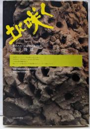 土に咲く : 美のメッセージ、障害者施設から。