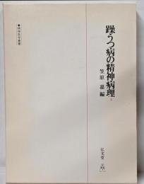 躁うつ病の精神病理 5 (精神医学叢書)