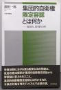 集団的自衛権限定容認とは何か 憲法的、批判的分析
