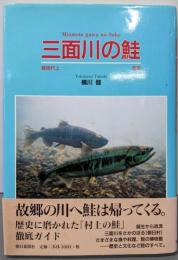 三面川の鮭: 越後村上 写真