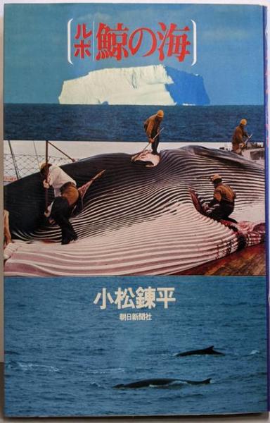 誰にも書けなかった邪馬台国(村山健治 著) / 不死鳥BOOKS / 古本