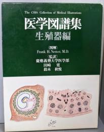 医学図譜集 生殖器編