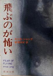 飛ぶのが怖い<新潮文庫>