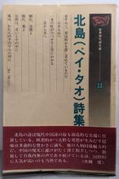 北島(ペイ・タオ)詩集 (世界現代詩文庫)313