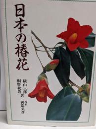日本の椿花