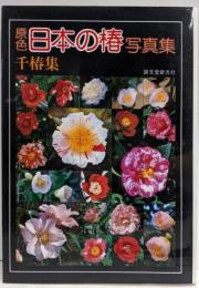 原色日本の椿写真集─千椿集