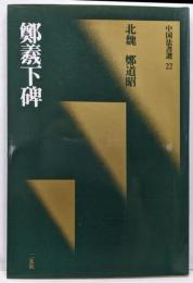 鄭羲下碑[北魏・鄭道昭/楷書] (中国法書選 22)