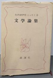 文学論集  (矢内原伊作エッセイ〈3〉)