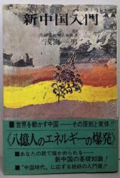 新中国入門