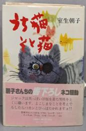 うち猫そと猫