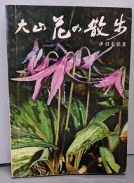 大山花の散歩