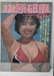 榊原郁恵グラフ集　近代映画増刊号