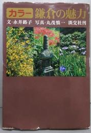 カラー 鎌倉の魅力