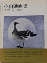 小山硬画集 (求龍堂グラフィックス)