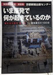 いま原発で何が起きているのか : 原発震災の100日特別報道写真・解説集 東日本大震災 第2集