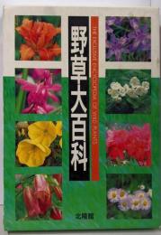 野草大百科