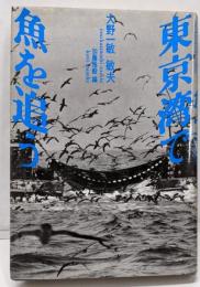 東京湾で魚を追う