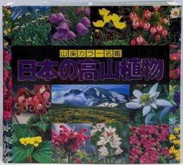 日本の高山植物<山渓カラー名鑑>