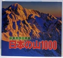 日本の山1000<山渓カラー名鑑>